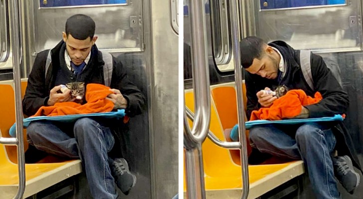 Un garçon dans le métro nourrit un chaton sauvé de la rue ...